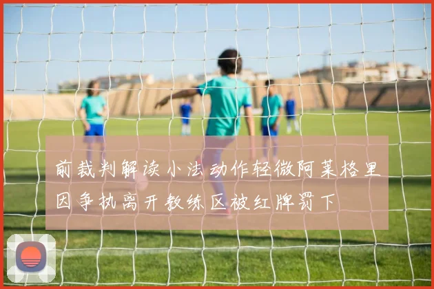 前裁判解读小法动作轻微阿莱格里因争执离开教练区被红牌罚下