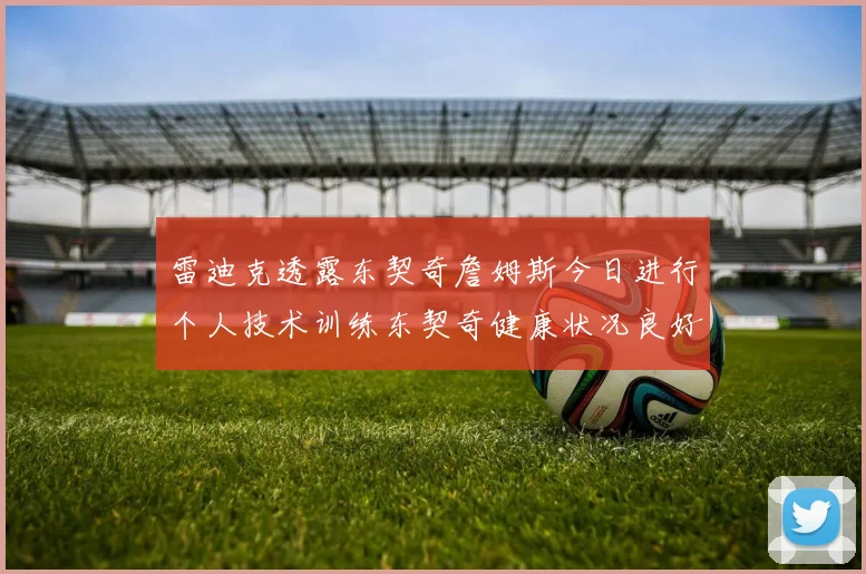 雷迪克透露东契奇詹姆斯今日进行个人技术训练东契奇健康状况良好