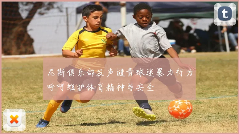 尼斯俱乐部发声谴责球迷暴力行为呼吁维护体育精神与安全