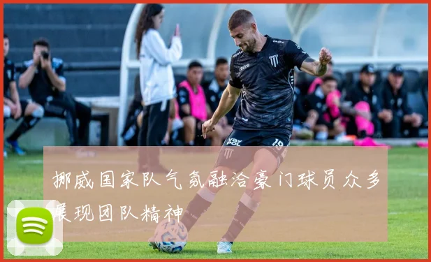 挪威国家队气氛融洽豪门球员众多展现团队精神