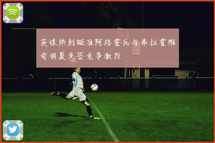 英媒热刺瞄准阿格霍瓦与弗拉霍维奇明夏免签竞争激烈