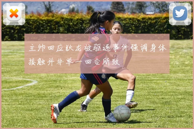 主帅回应狄龙被驱逐事件强调身体接触并非单一回合所致