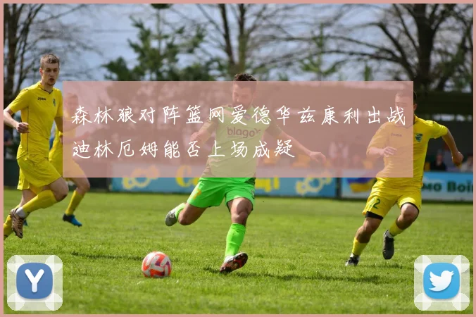 森林狼对阵篮网爱德华兹康利出战迪林厄姆能否上场成疑