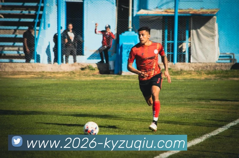 开云足球平台生态图